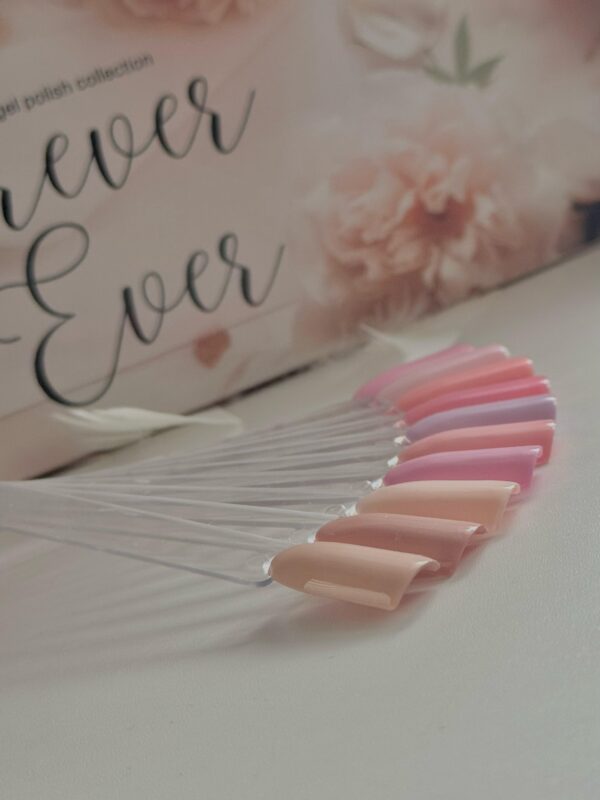 FOREVER & EVER Collection (451-460) - Image 3